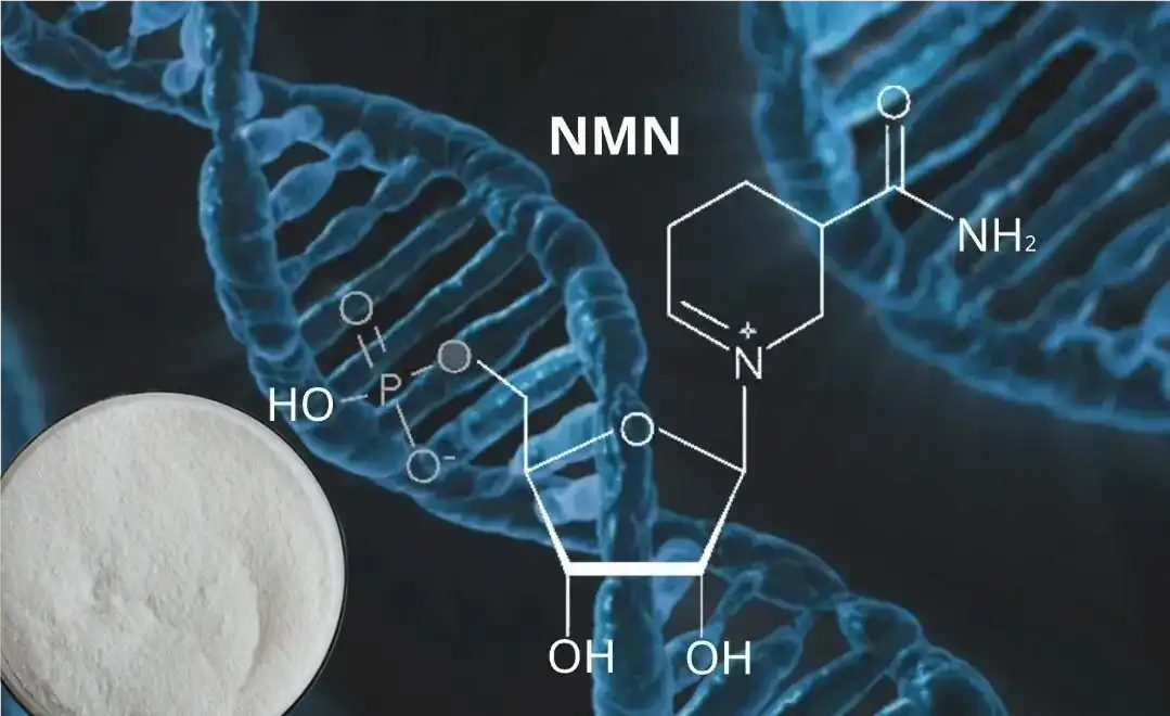 What health benefits can NMN Pure Powder deliver for longevity?